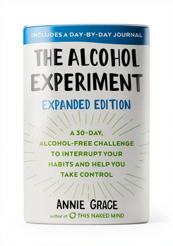 Avery Journaling Kindle Book Alcoholism Recovery English-0