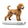 ZLZJAMAK Pet Scale High Precision Weight Hold Function-0