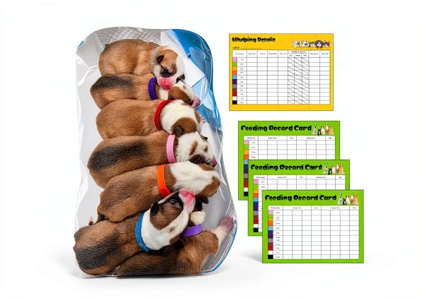 URMYONLY Whelping Kit Nursing Bottles Pet Care Supplies-3